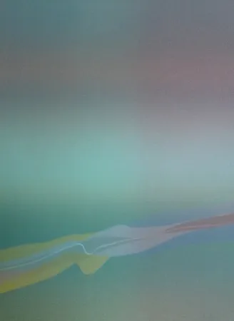 Litografia Bird - Spectre lumière 4