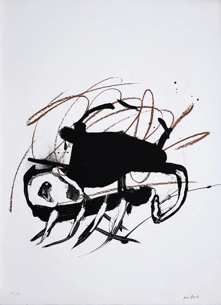 Litografia Bird - S/T