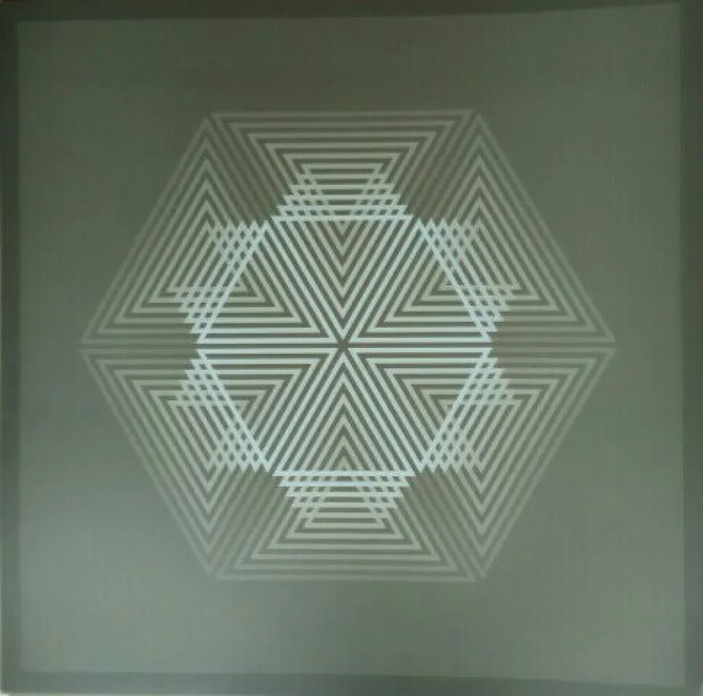 Litografia Bird - Tribute to Vasarely 12