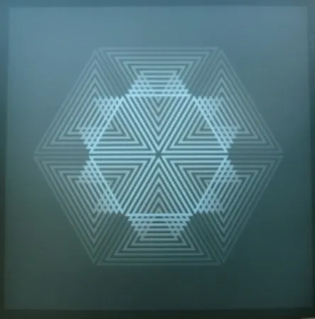 Litografia Bird - Tribute to vasarely 12