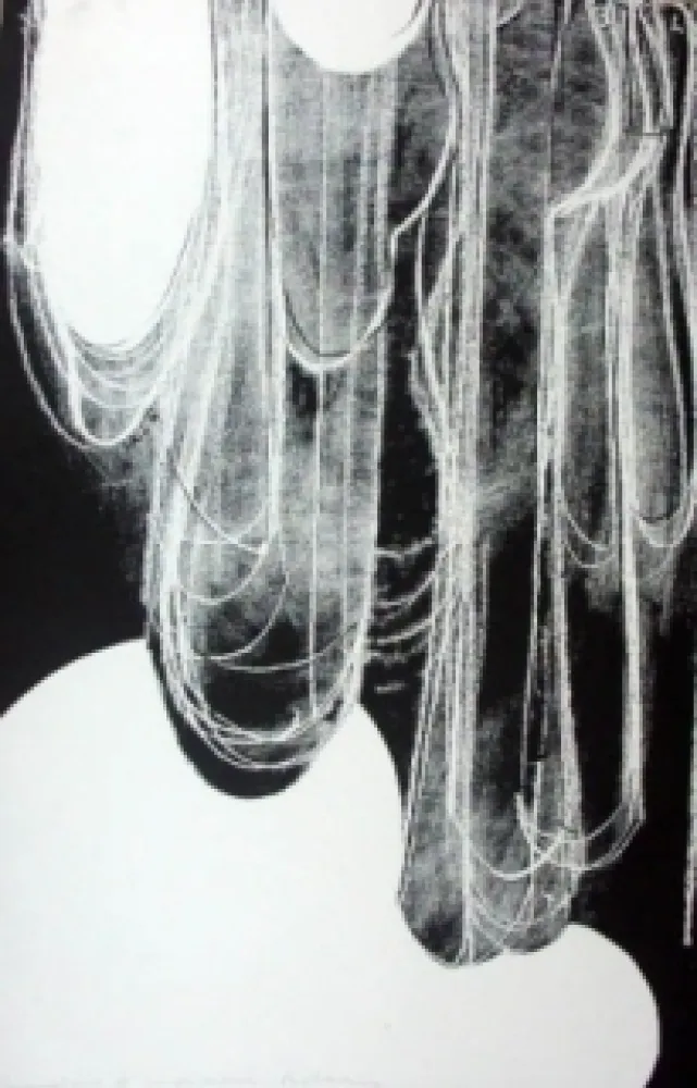 Litografia Blais - Sans titre