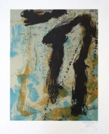 Litografia Bohary - Water fall river