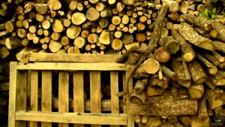 Fotografie Bohorquez - Palos de Moguer