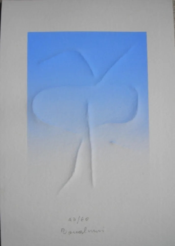 Rilievo Bonalumi - La denarrazione