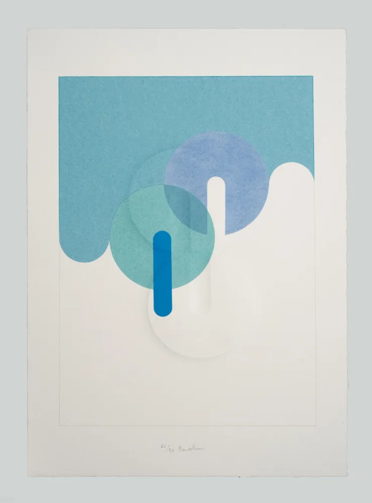 Rilievo Bonalumi - Superficie (B)