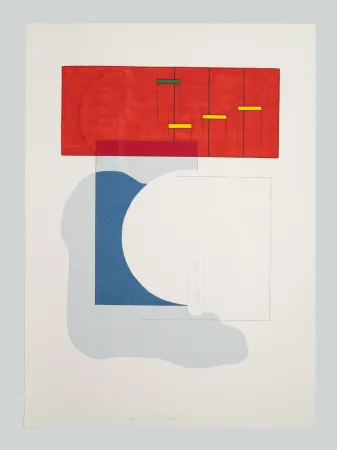 Rilievo Bonalumi - Superficie (C)