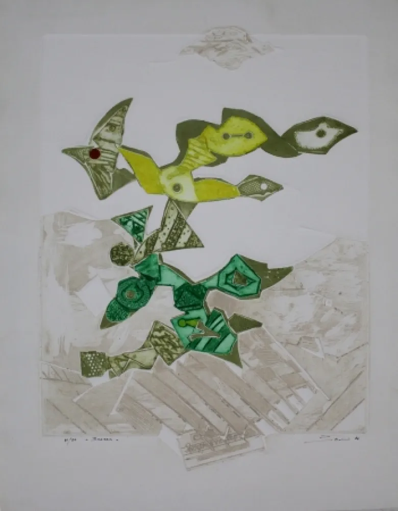 Acquaforte E Acquatinta Boni - Brezza