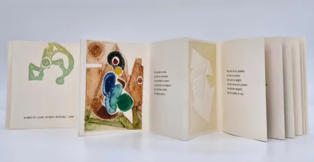 Libro Illustrato Boni - Transfert