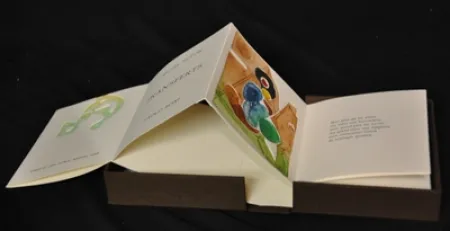 Libro Illustrato Boni - Transferts