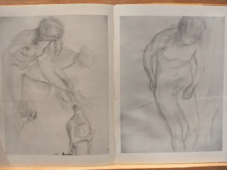 Libro Illustrato Bonnard - Couleur De Bonnard