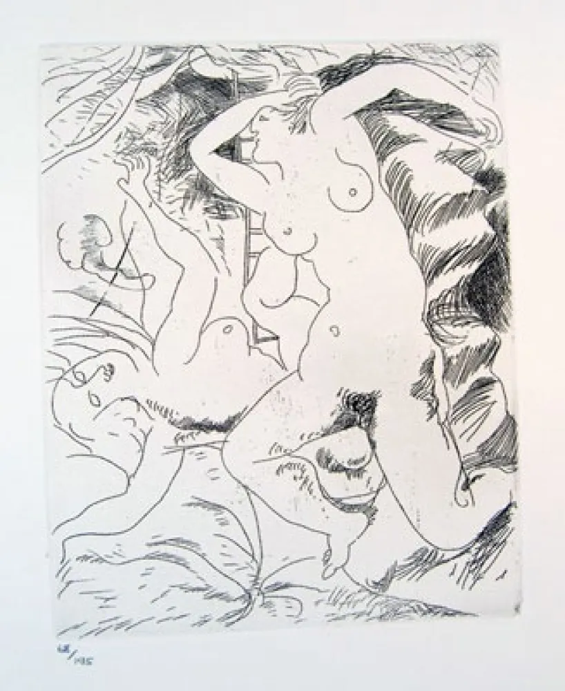 Acquaforte Bores - Carpeta