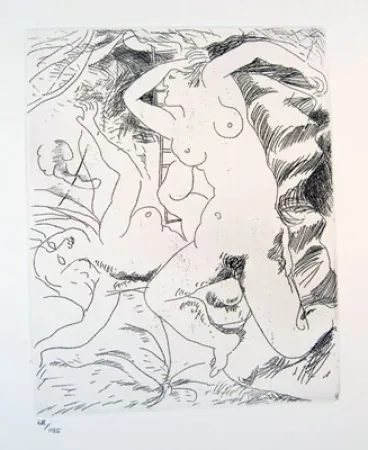 Acquaforte Bores - Carpeta