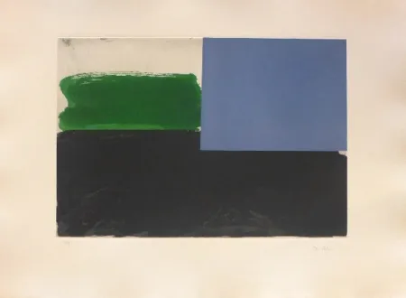 Incisione Borrell Palazón - Espais 1