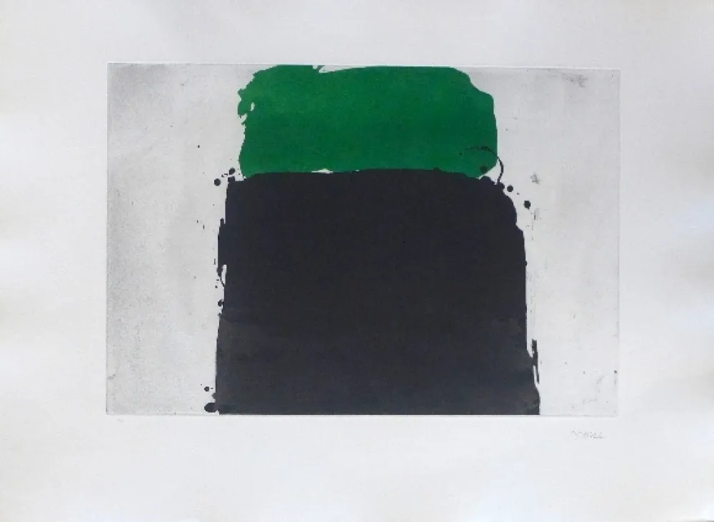 Incisione Borrell Palazón - Espais 2