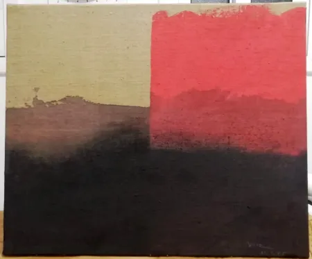 Non Tecnico Borrell Palazón - Estructura rosa sobre negre