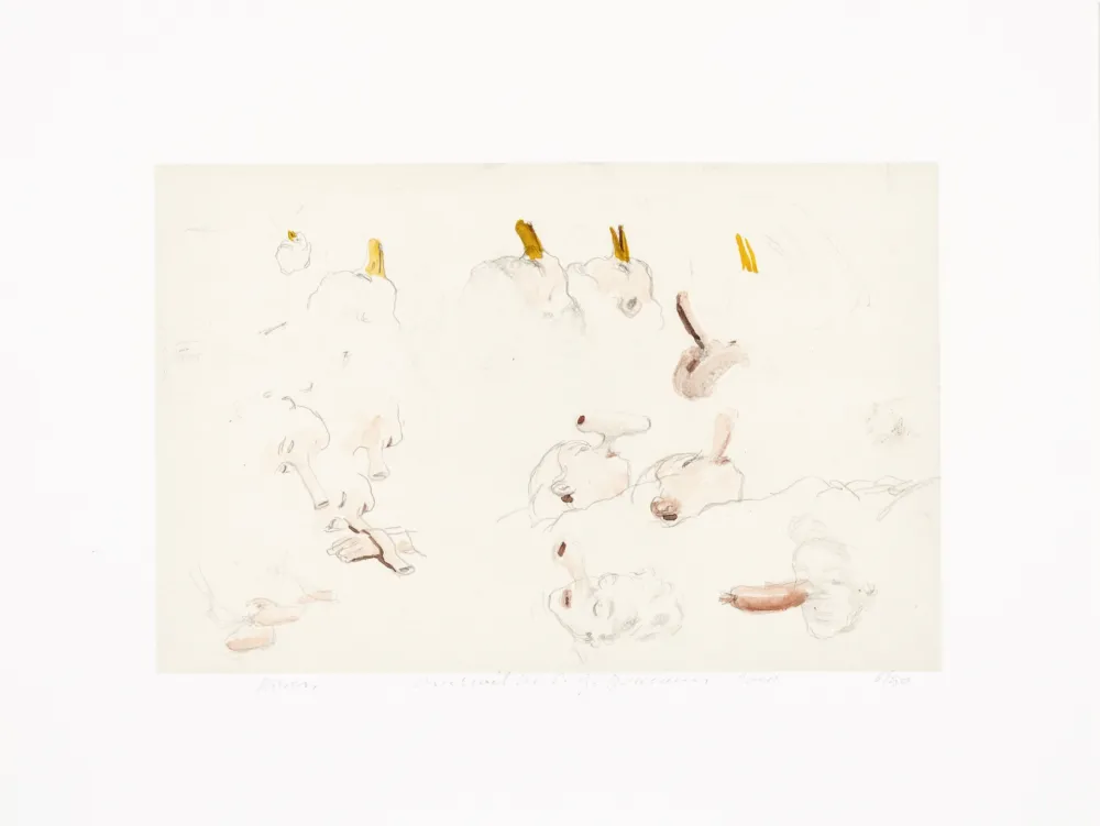 Grafica Numerica Borremans - Noses