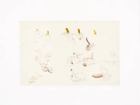 Grafica Numerica Borremans - Noses