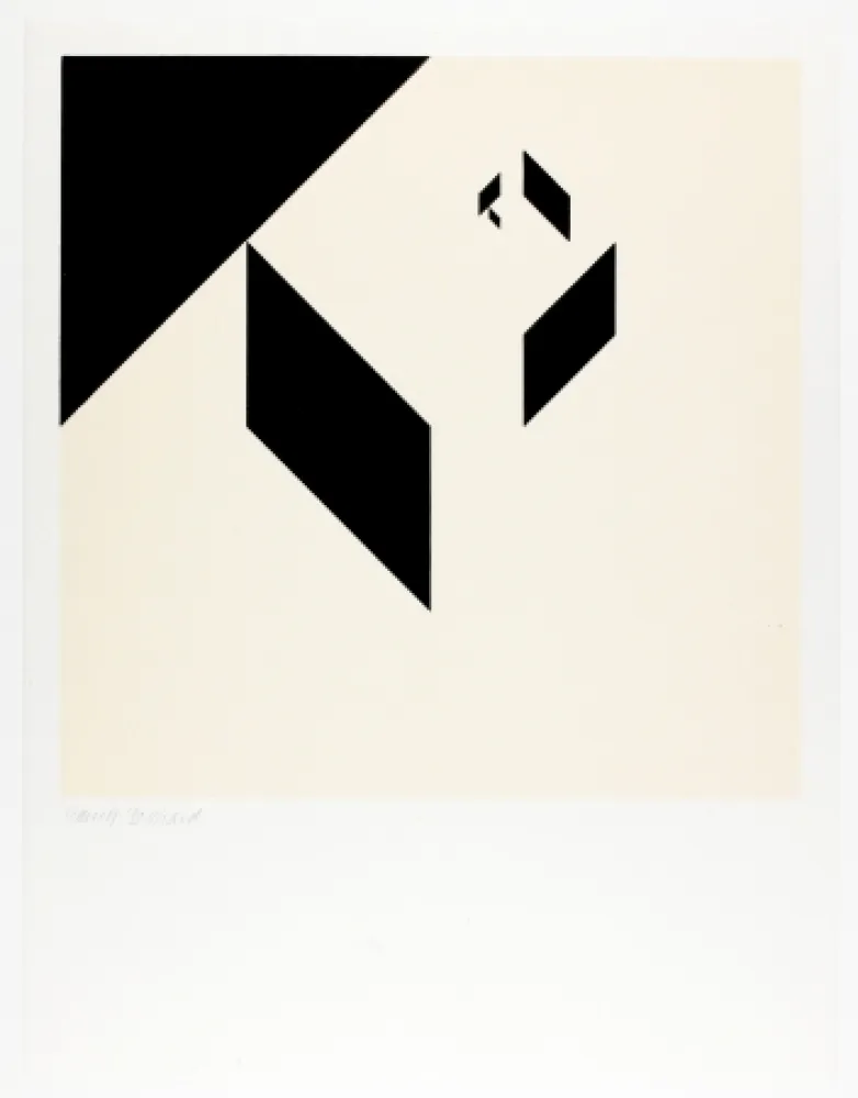 Incisione Su Legno Bosshard - Variation 1