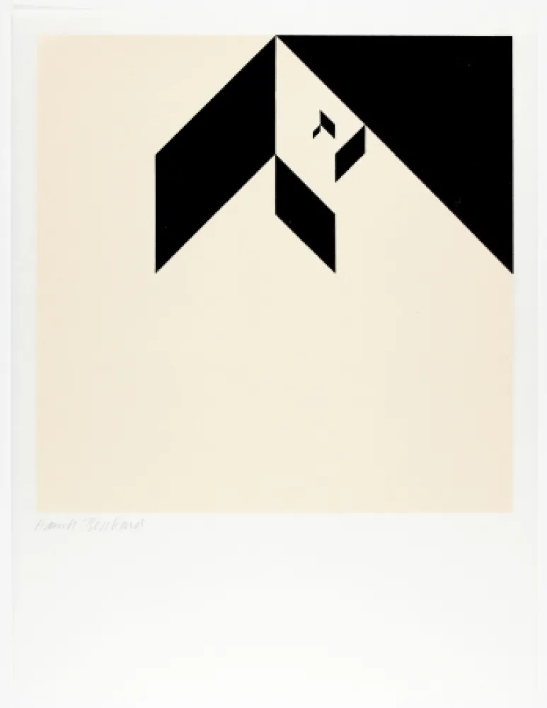 Incisione Su Legno Bosshard - Variation 2