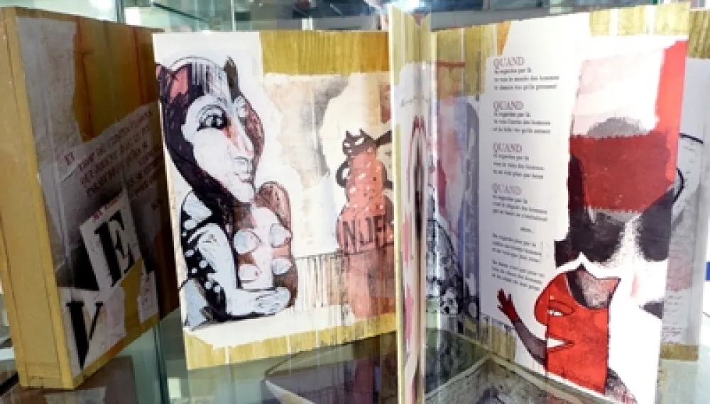 Libro Illustrato Botti  - Des chats dites-vous ?