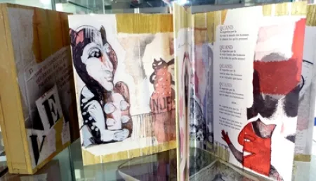 Libro Illustrato Botti  - Des chats dites-vous ?