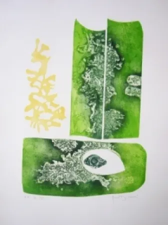 Incisione Bourdin - Dénouement