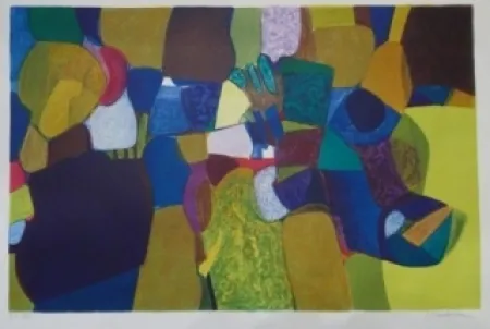 Litografia Bourdouxhe - La petite maison dans la prairie