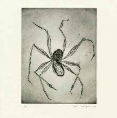 Incisione Bourgeois - Untitled from 