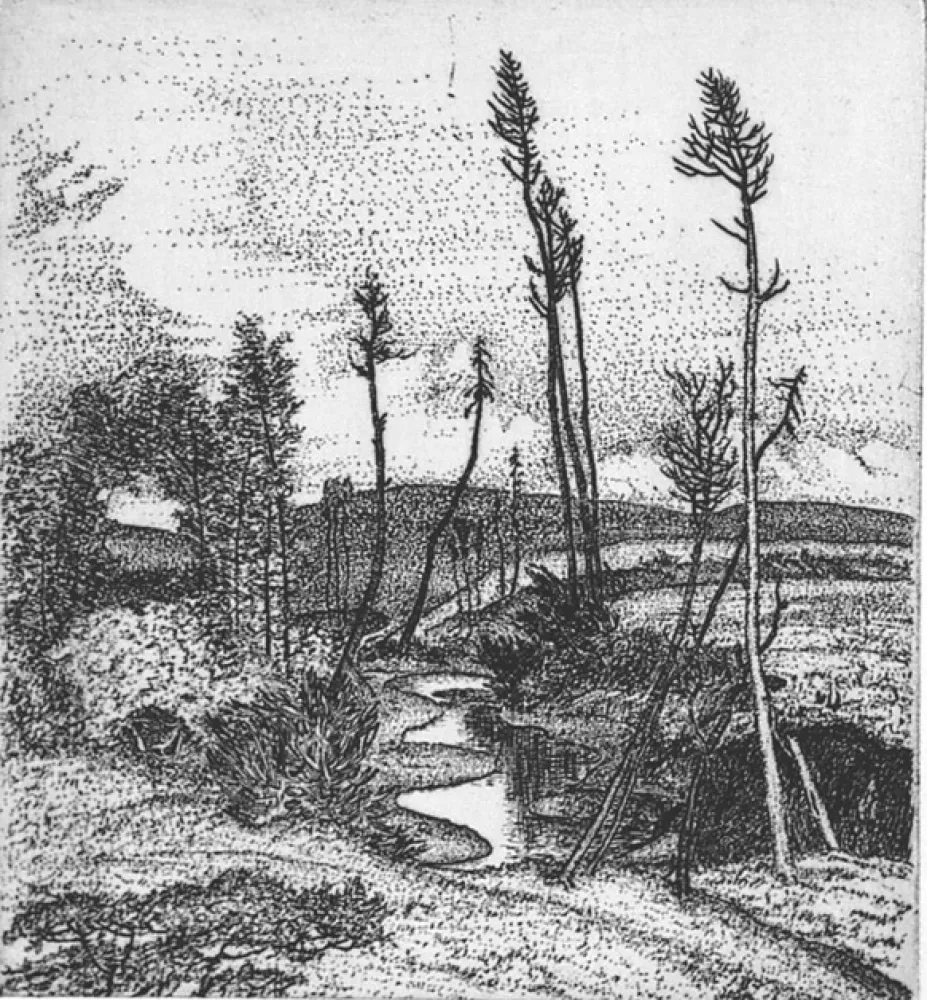 Acquaforte Bozzetti - Il torrente