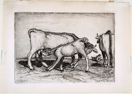 Incisione Bozzetti - LA VACCA E IL BOCCINO (The cow and the calf), fourth version. 