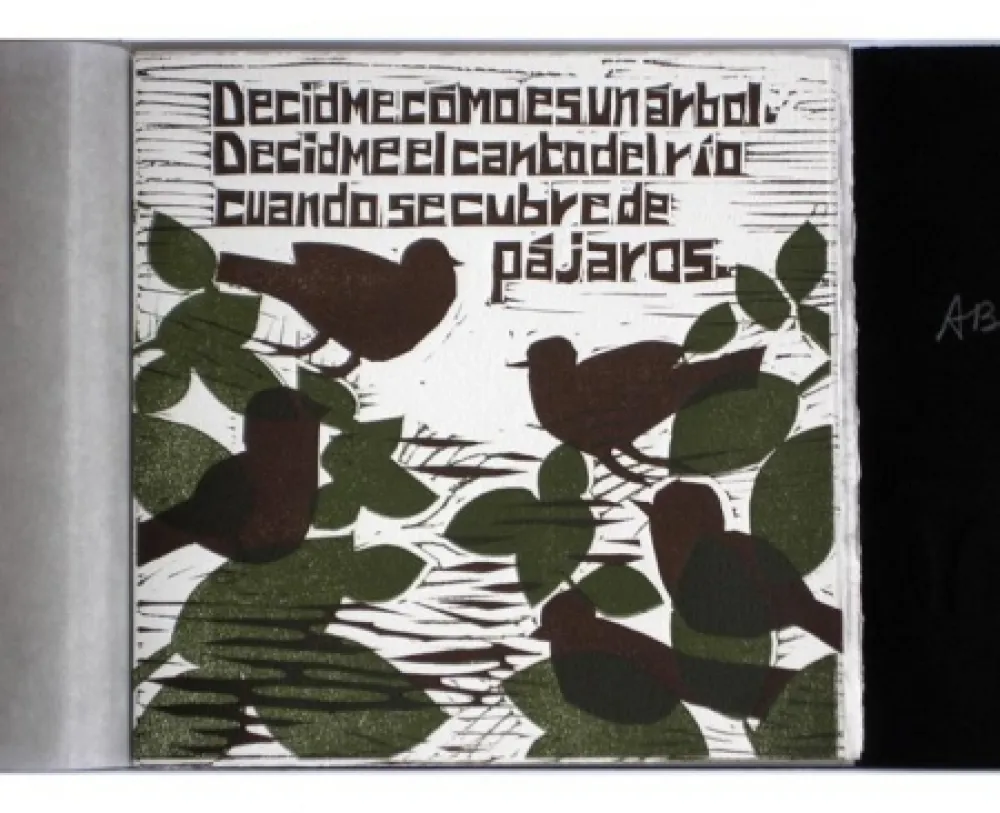 Libro Illustrato Brancaforte - Decidme cómo es un árbol