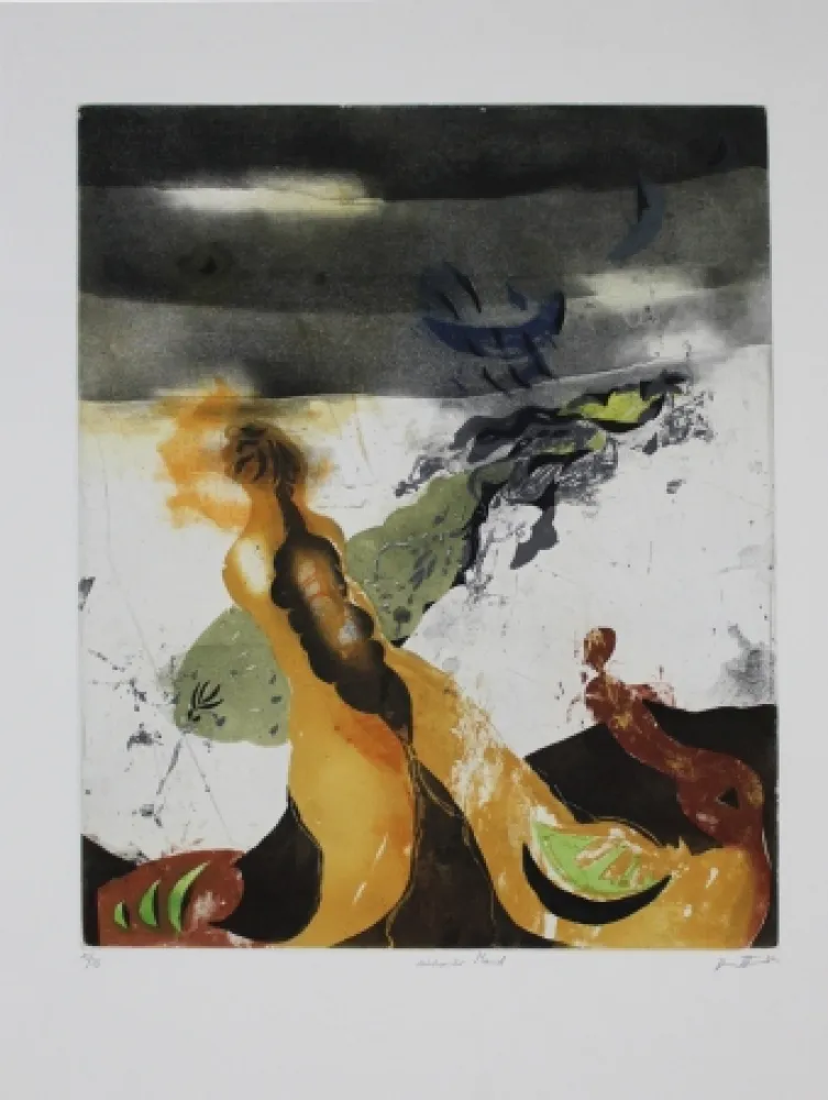 Acquaforte E Acquatinta Brandstätter - Sinkender Mond / Sinking World