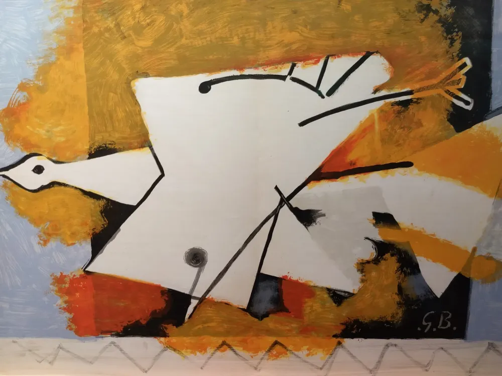 Libro Illustrato Braque - DLM 115