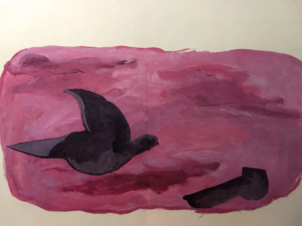 Libro Illustrato Braque - DLM 166