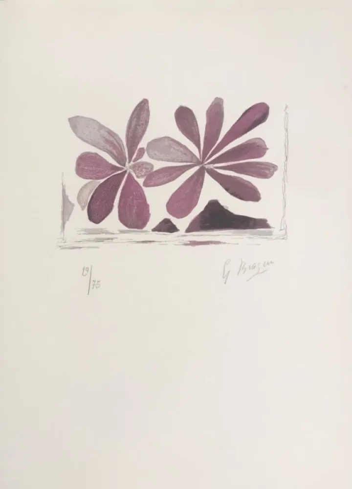 Litografia Braque - Fleurs de l'air 