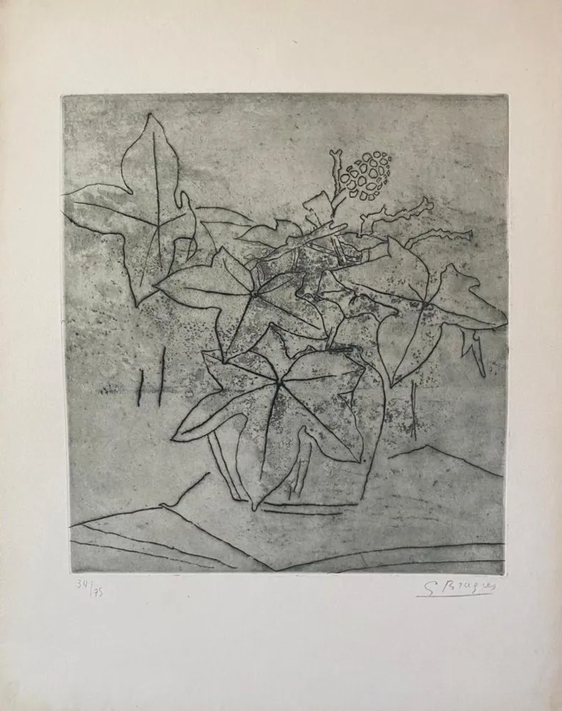 Incisione Braque - Le Lierre #99