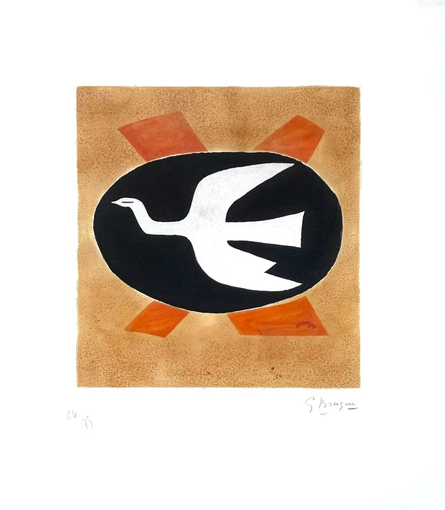 Acquaforte Braque - L'oiseau de feu (Oiseau XIII) 