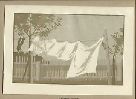 Incisione Su Legno Braumüller-Havermann - Flatternde Windeln