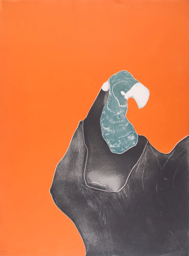 Acquaforte Brillant - Le Rocher Perroquet