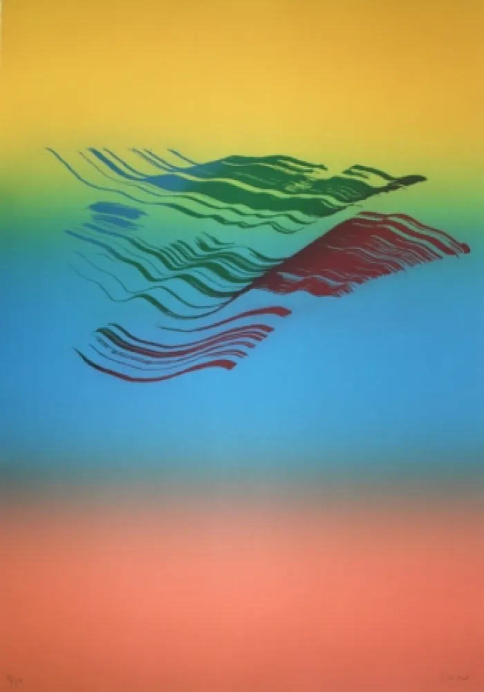 Acquaforte Broto - Iris 4