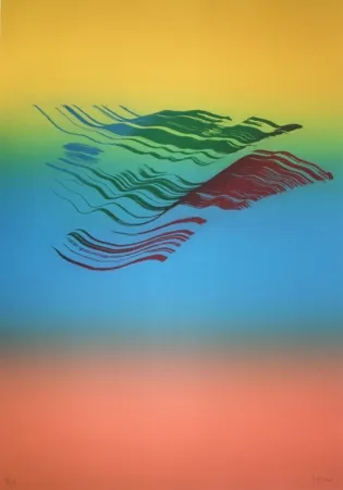 Acquaforte Broto - Iris 4