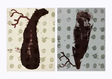 Litografia Brown - Two cells diptyque