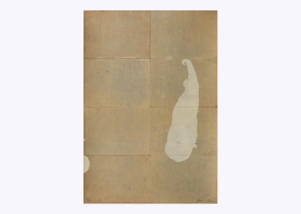 Litografia Brown - White salt 