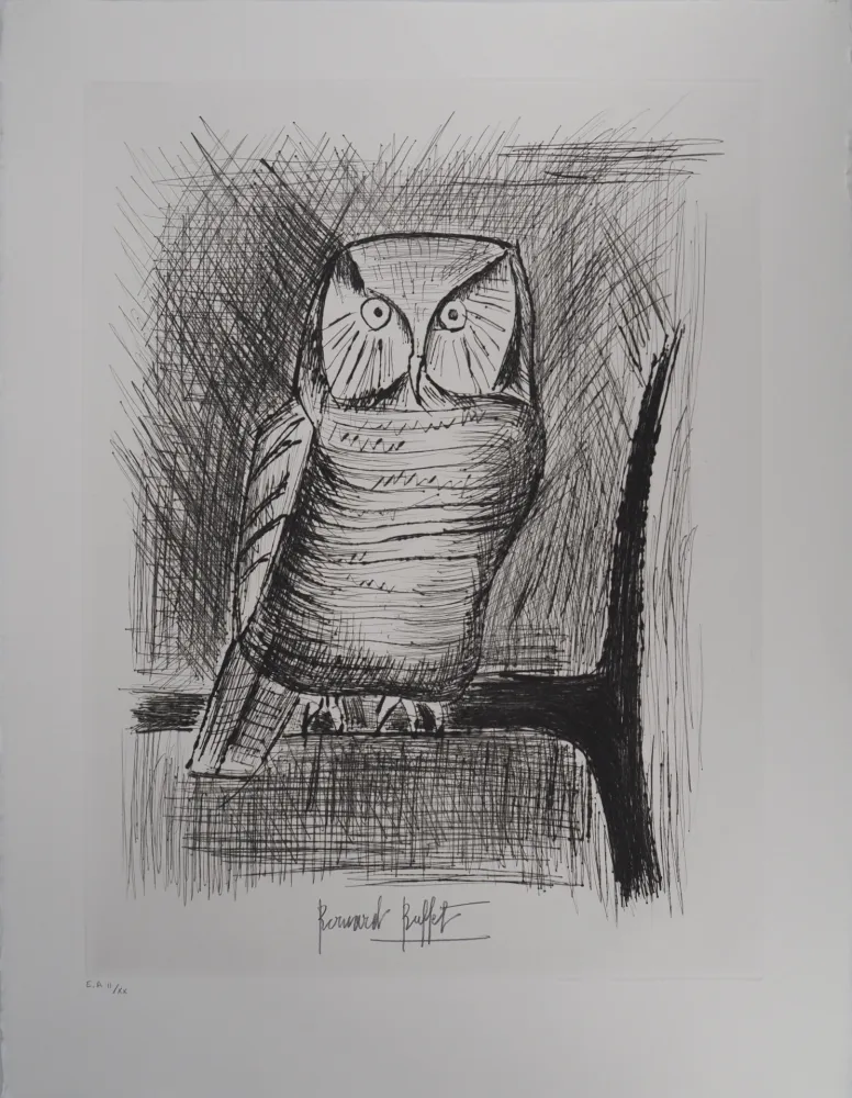Incisione Buffet - Chouette épervière,