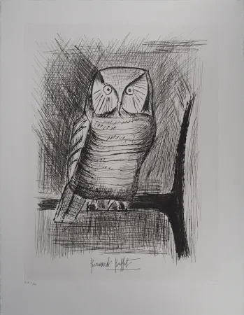 Incisione Buffet - Chouette épervière,