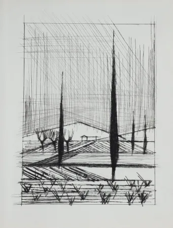 Punta Secca Buffet - Naples, ca