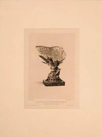 Incisione Buhot - Coquille de girasole