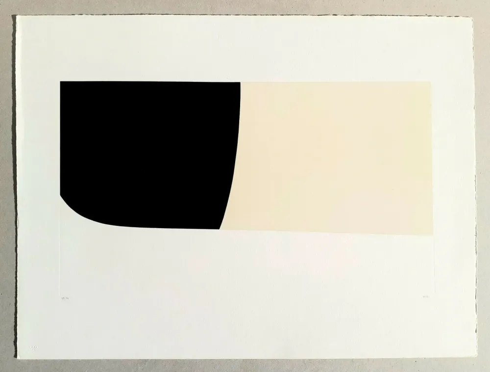 Litografia Burri - Bianchi e neri II