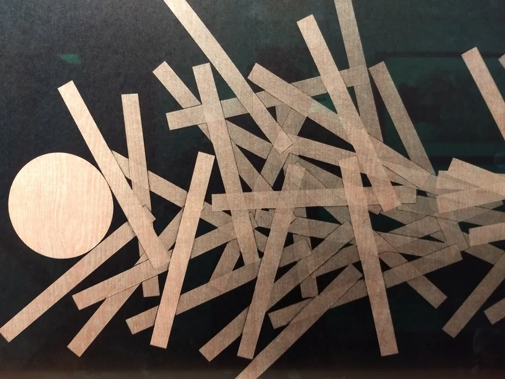 Libro Illustrato Bury - DLM 228