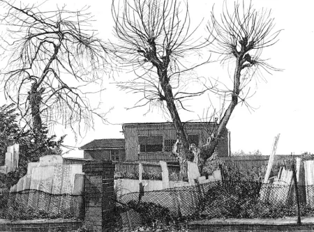 Acquaforte Cacciarini - Alberi